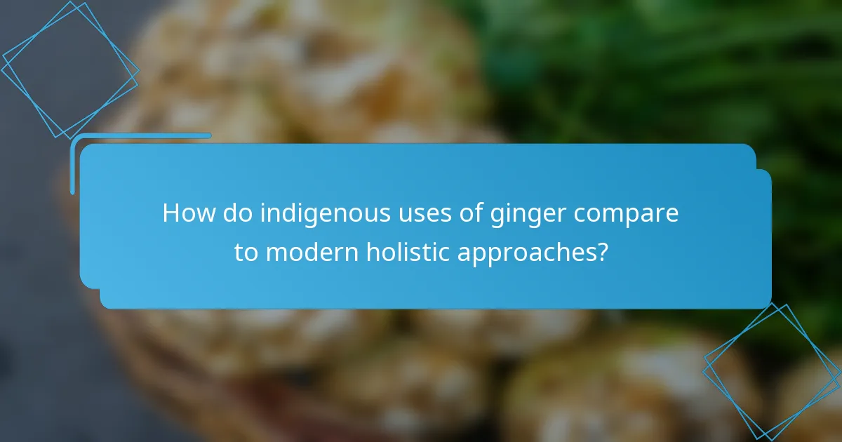 How do indigenous uses of ginger compare to modern holistic approaches?