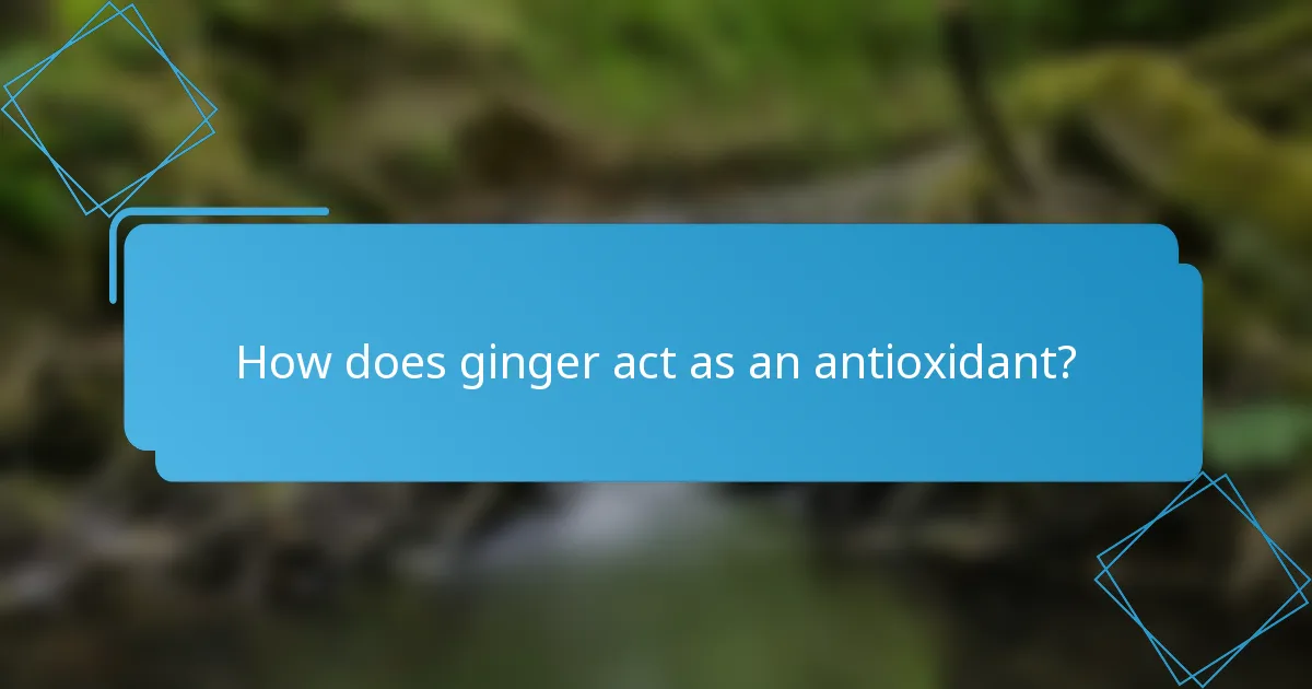 How does ginger act as an antioxidant?