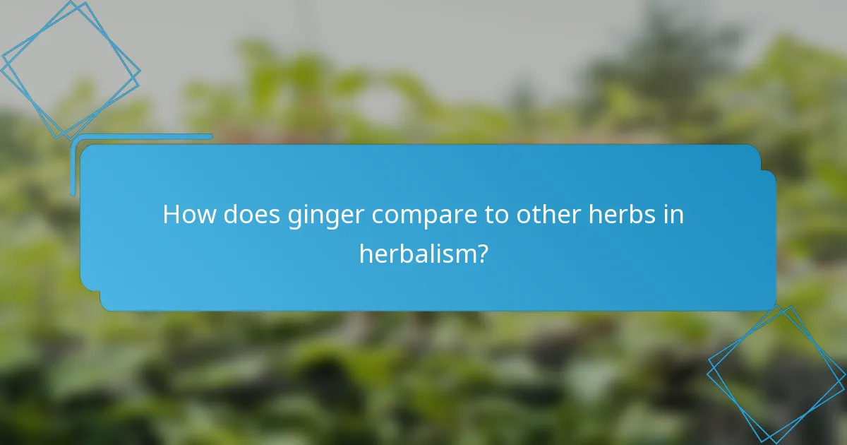 How does ginger compare to other herbs in herbalism?