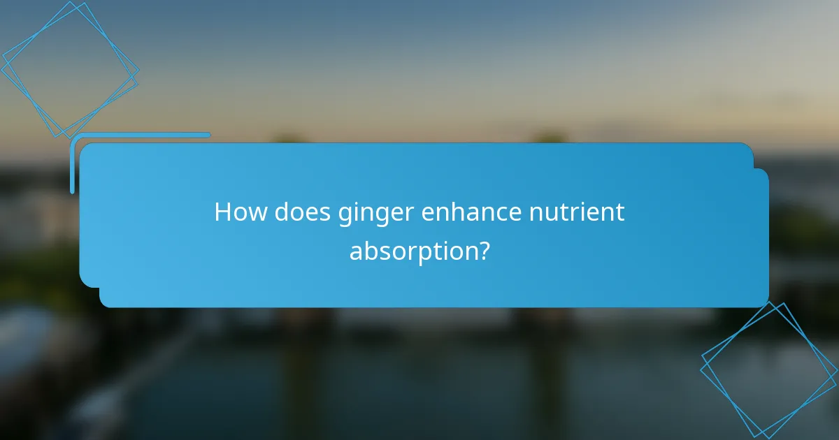 How does ginger enhance nutrient absorption?