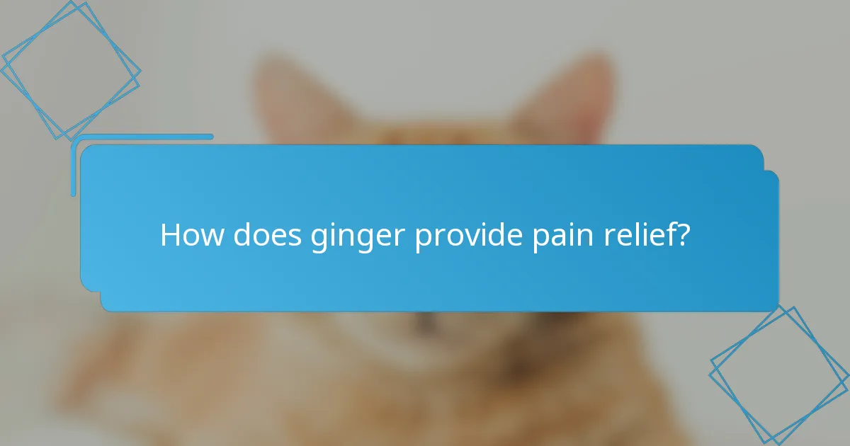 How does ginger provide pain relief?