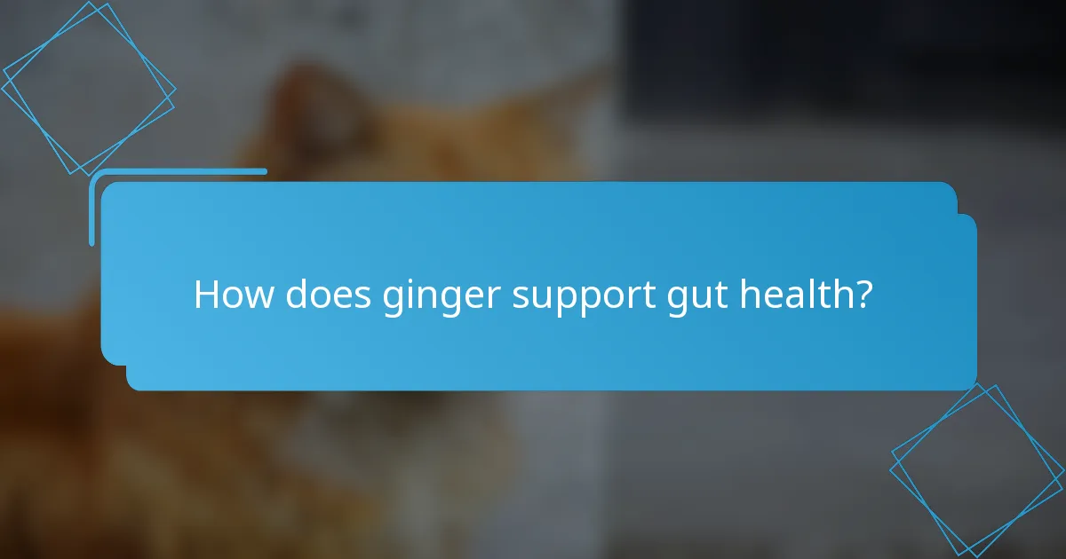 How does ginger support gut health?