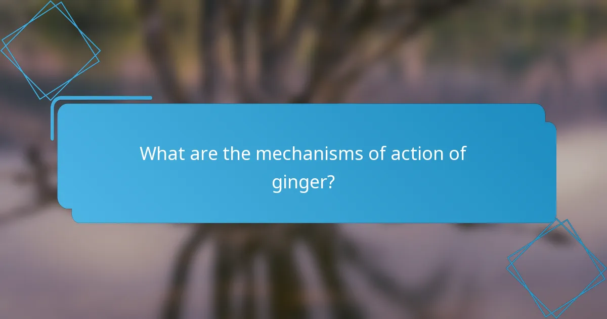 What are the mechanisms of action of ginger?