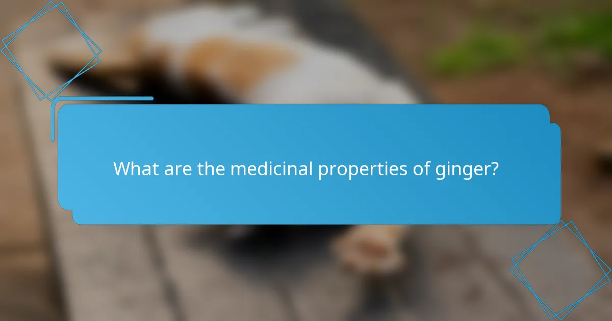 What are the medicinal properties of ginger?
