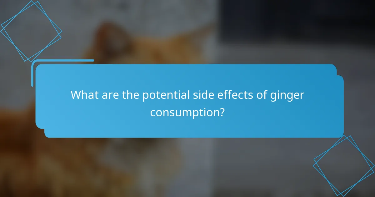 What are the potential side effects of ginger consumption?