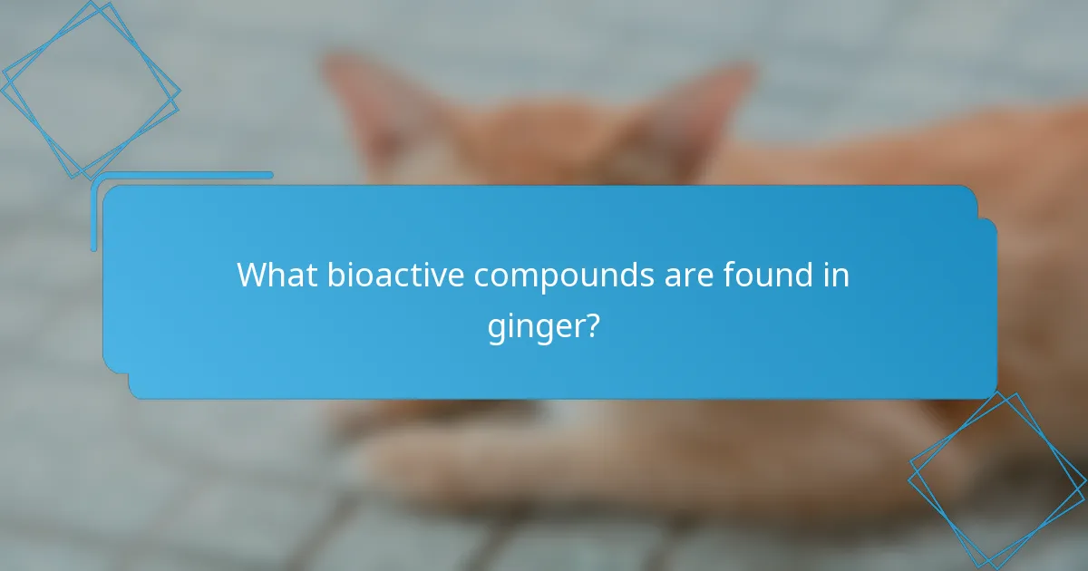 What bioactive compounds are found in ginger?